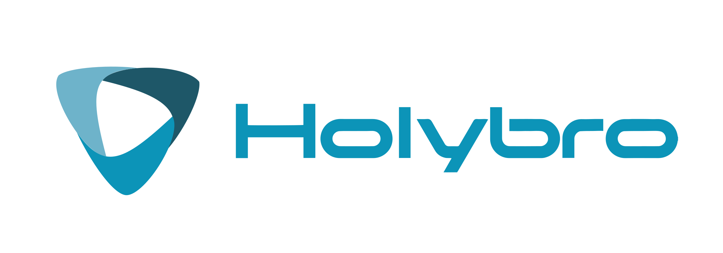 ./_images/supporters_logo_Holybro.png