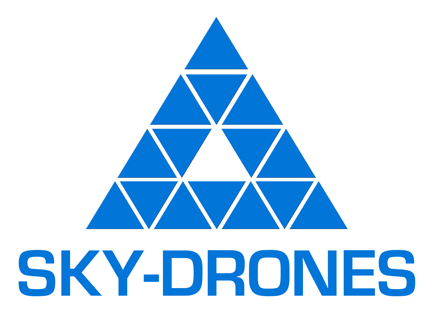 ./_images/supporters_logo_Sky-Drones.png